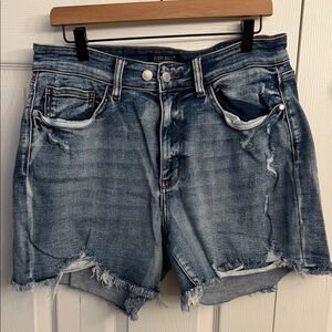 Judy Blue Women's Frayed Hem Jean Shorts - Light Blue